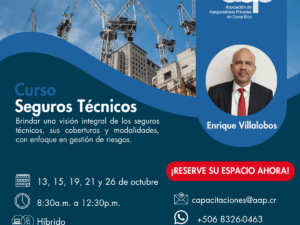 Curso Seguros Técnicos